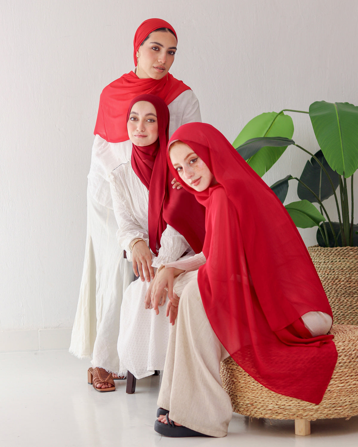 Premium Chiffon